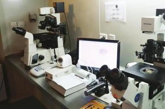 胚胎移植术后胚胎会掉出来吗？北京试管婴儿医院哪家好？