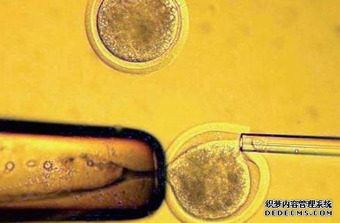 广西区妇幼三代试管费用 2022广西壮族自治区21家试管婴儿医院大全，附成功率前十医院名单分享 ‘15*8*17孕囊是男孩还是女孩’