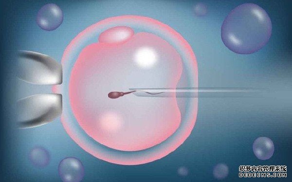 专业广东代孕 广东供精试管婴儿流程： ‘孕23周b超生殖器像花瓣男孩女孩’