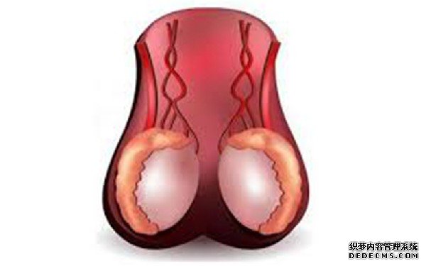 温州谁做助孕妈妈 在温州附二医院做试管婴儿培养囊胚一个多少钱？ ‘孕囊40X20X20是男是女’