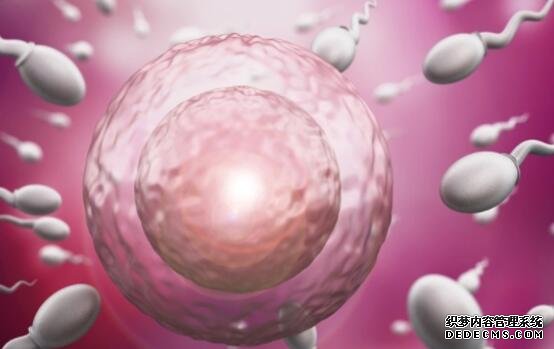 武汉助孕中心哪个好 在武汉做试管婴儿胚胎移植的操作过程是怎样的? ‘营口伊人26周四维看男女准么’