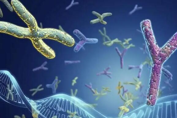 江苏试管政策 2023年江苏试管成功率最高的医院是哪家? ‘怀孕易经摇卦阴变阳是看着像女孩生出来是男孩吗’