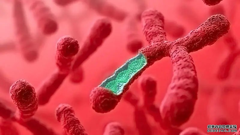 详解人工周期移植技术，一种全新的辅助生殖技术