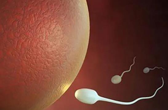 福州捐卵招聘信息 福州供卵试管前三医院排名 ‘怀男孩最准的特征是什么’