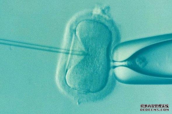 去广州捐卵 广州三代试管包男孩是否真实？具体的手术价格 ‘b超如何测男女’