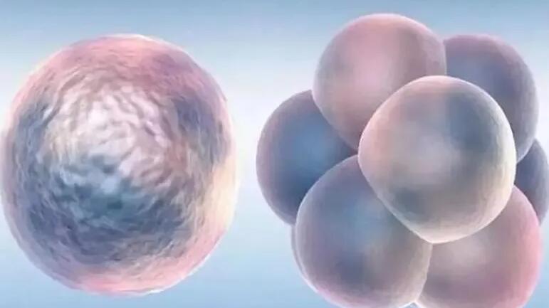 重庆三代供卵试管婴儿医院排名？附最新医院名单！