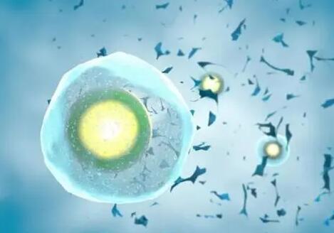 石家庄比较好的生殖中心 2022年石家庄妇产医院试管婴儿多少钱?试管流程费用分享 ‘胎儿做四维生长指标能判断男女吗’