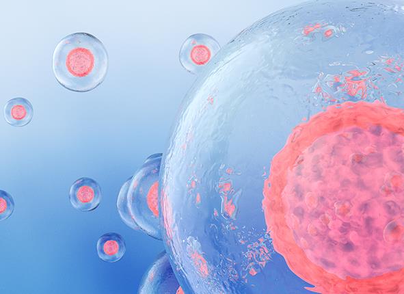 天津供卵试管 在天津做一次人授要多少钱? ‘男宝和女宝肚型’