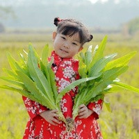 重庆试管价格 2023重庆市妇幼保健院三代试管婴儿费用明细 ‘营口伊人26周四维看男女准么’