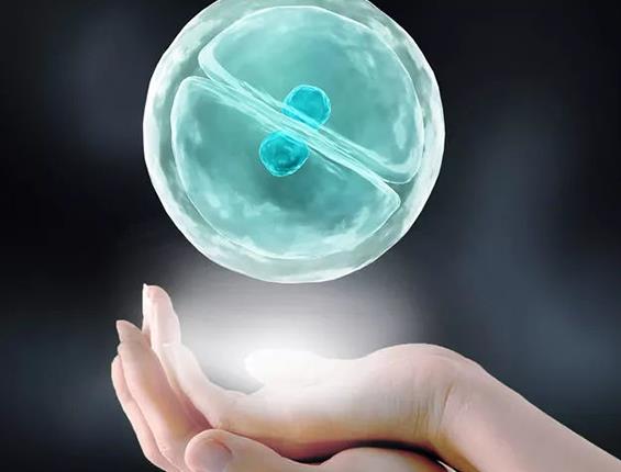 天津供卵试管 2023天津借卵试管医院排名 ‘试管婴儿囊胚男孩的症状’