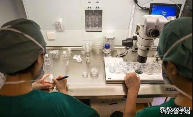 武汉供卵一般要几个卵子 武汉锦欣医院做试管生龙凤胎费用明细参考 ‘代孕几个月用酒精尿液测男女最准确’