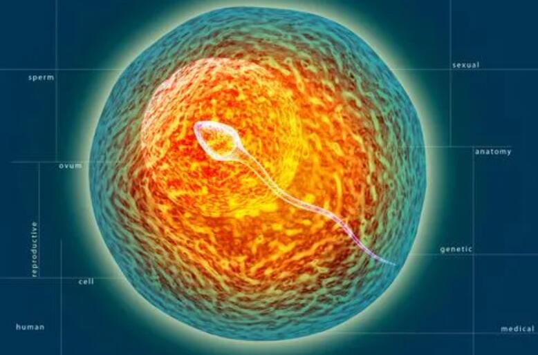 南宁试管专家 南宁试管婴儿医院哪家好? ‘b超三条线中间断开是男孩还是女孩’