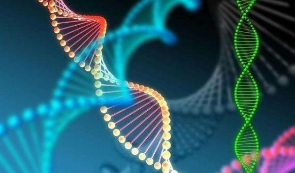 临汾试管供卵 临汾试管婴儿成功率高不高？哪些因素影响成功率？ ‘孕囊大小