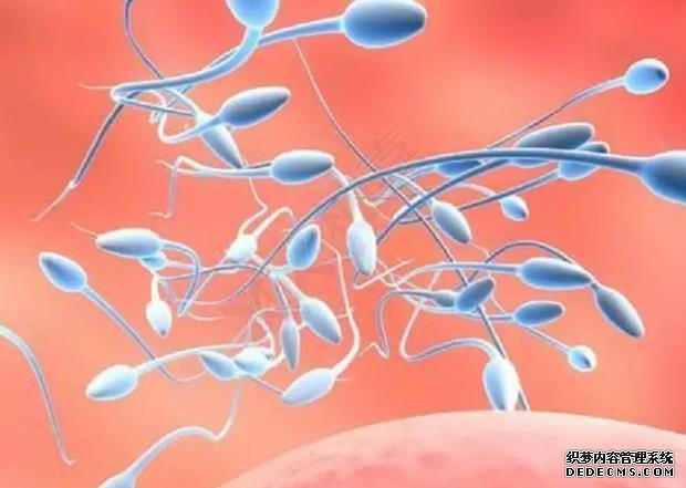 2023惠州试管供卵助孕机构排名最新公布！附借卵生男孩包成功费用详情