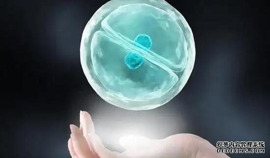 试管婴儿私人医院攻略如下，教你如何找到最适合你的医院