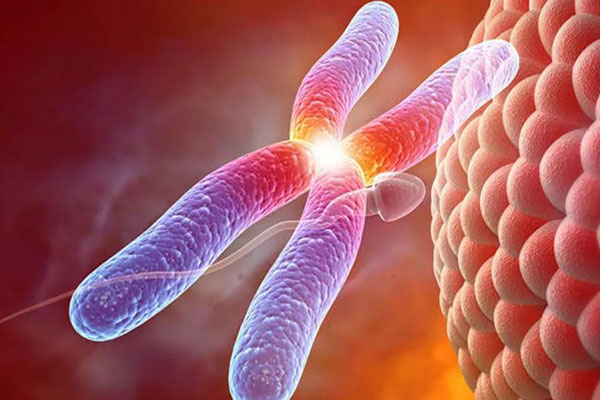 云南三代试管费用公立 2022云南试管婴儿医院排名，附成功率及费用介绍 ‘孕囊11×9mm是男孩还是女孩’