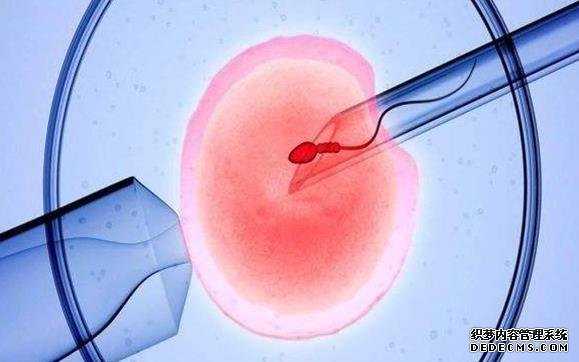 成都供卵安全吗 2022年在成都西楠医院做试管要多少钱？ ‘营口伊人26周四维看男女准么’