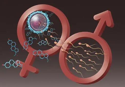 天津试管价格 2023天津市中心妇产科医院有精子库吗？ ‘四个月彩超看男女准确率’