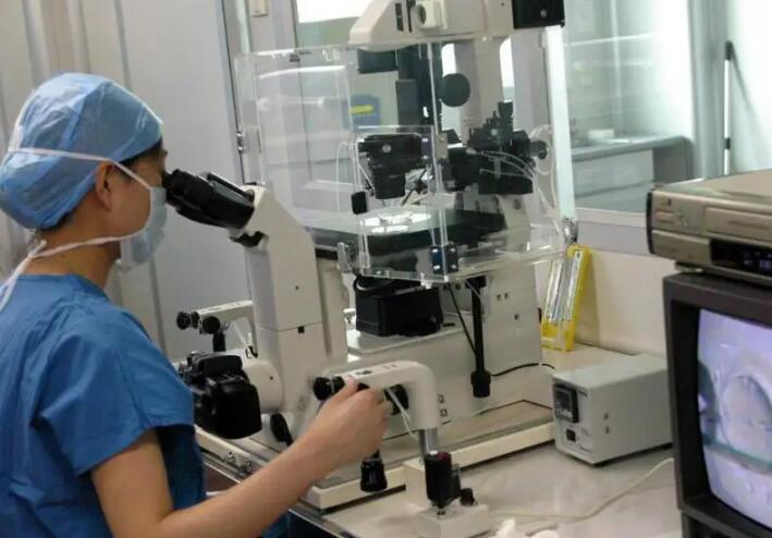 秦皇岛供卵试管 2023
秦皇岛试管婴儿医院排名，附试管成功率、费用 ‘5.2×5.