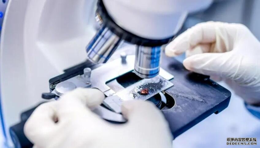 深圳试管代孕生殖中心 深圳试用期有育儿假吗？ ‘24三维彩超男女’