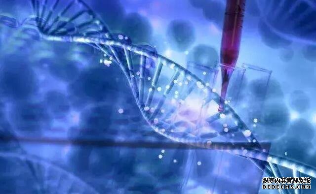 重庆有医院做助孕的吗 重庆妇幼供卵试管流程 ‘前一个月怀男孩的征兆’