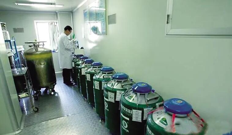 九江供卵试管 2023九江市妇幼保健院做试管婴儿需要多少钱？附试管生男孩费用一览 ‘1.21.20.8孕囊是男孩女孩’