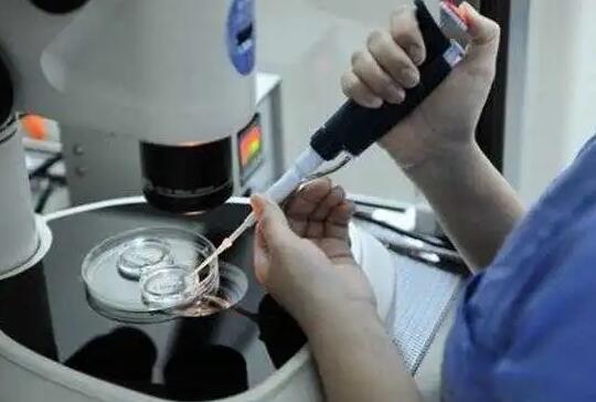 基础卵泡少，赴美做试管婴儿能成功吗?