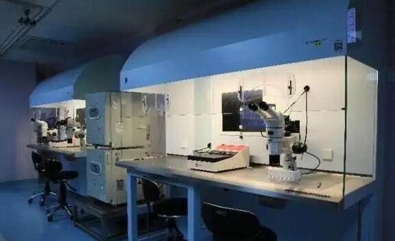 第六届美国试管婴儿咨询答疑会圆满落幕!