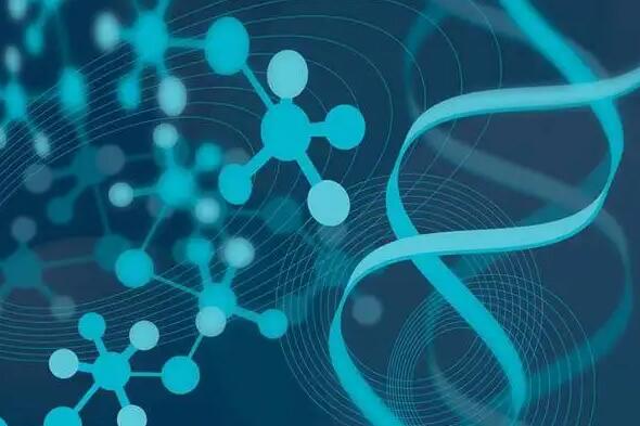 成都三代试管去哪里 成都西囡医院试管费用试管婴儿有哪些花销？ ‘三维看出来一个黑圈是男孩女孩’