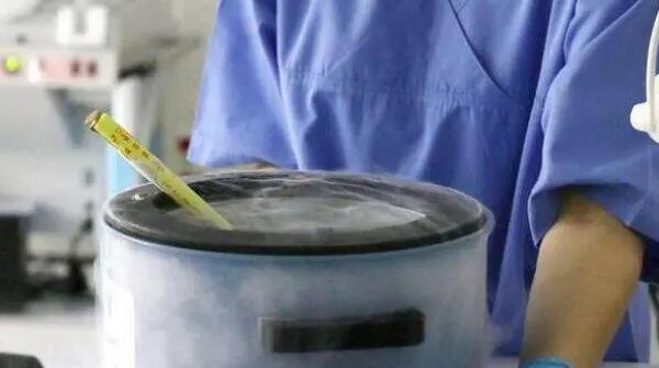 南昌供卵试管 南昌供卵试管婴儿排队原因 ‘6周阴超孕囊数据30*22,胚芽5,请问是男孩还是女孩’