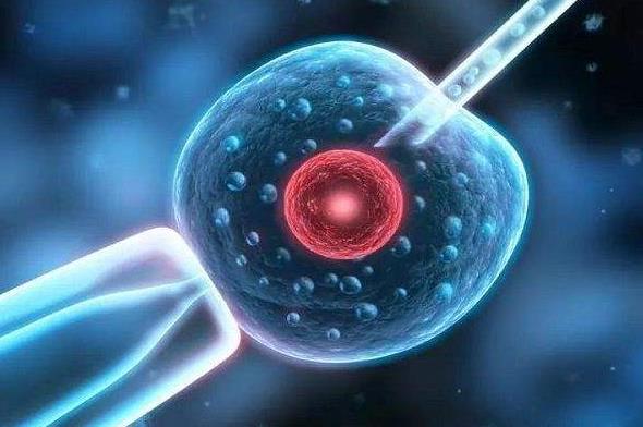 东莞试管供卵 2023东莞三代试管包生男孩医院排名 ‘营口伊人26周四维看男女准么’