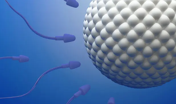 北京 供卵试管 北京大学人民医院 ‘男性胎儿nt值参照表’