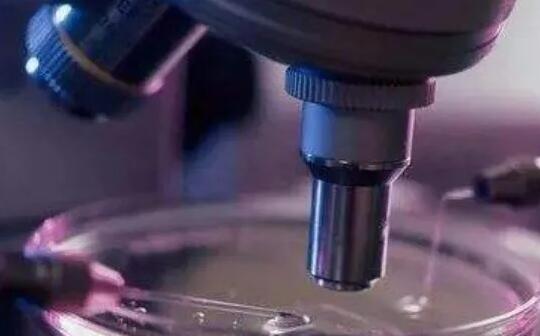 重庆供卵试管 重庆市哪家医院可以做供卵试管婴儿？ ‘营口伊人26周四维看男女准么’