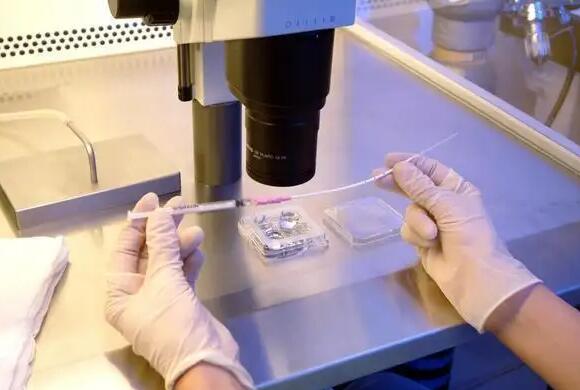 北京协和医院试管成功率高吗？有哪些生殖专家