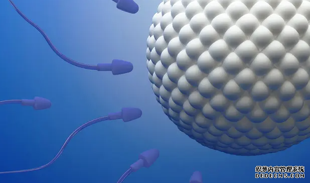 上海虹桥怎么去到儿童医院 上海仁济医院试管费用多少？ ‘孕7周孕囊3.1×2.7×1.5看男女’