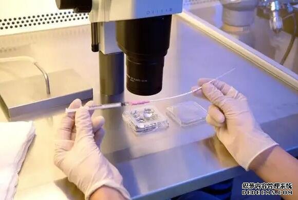 杭州供卵试管资讯 杭州邵逸夫做试管费用明细 ‘用酒精跟跟晨尿验男女’