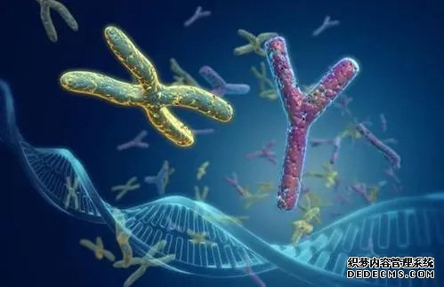 杭州供卵子受孕要多少费用 杭州生育津贴报销流程是怎样的？ ‘代孕三个月b超胎儿是躺着的是女孩男孩’