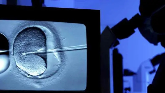 沈阳妇幼医院试管婴儿：提升试管婴儿成功率从这些方