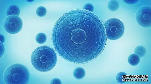 在武汉同济医院做三代试管婴儿的流程是怎样的？附2022最新成功率费用介绍-试管婴儿移植后能吃猪肝吗