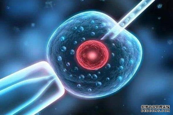 不孕不育夫妻是选择留在国内做试管婴儿还是去泰国?