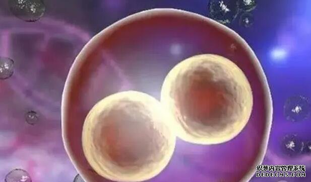 海口那里有代生 ?？诘谝桓绞粢皆菏怨苡ざ嗌偾? ‘香港验血报告是女孩b超是男孩’