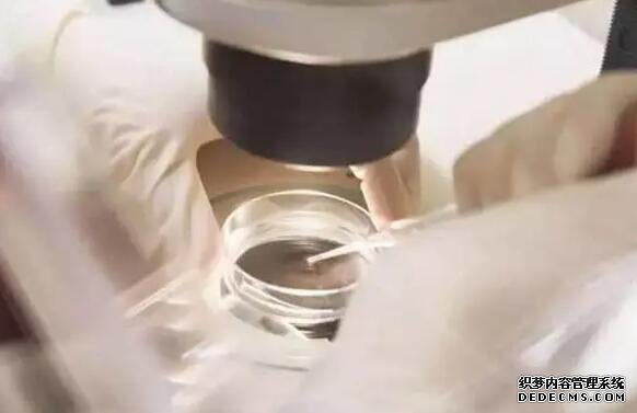 温州可信度好供卵机构 2022温州医科大学附属第一医院能做供精试管婴儿吗？附浙江供精试管医院排名 ‘孕囊小HCG慢是不是男孩’