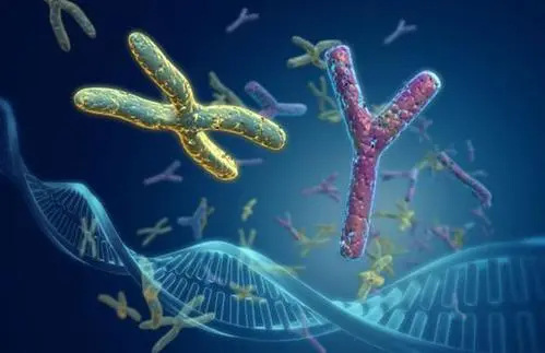 台湾 试管 供卵 022台湾冻卵5年的费用是多少？附台湾冻卵流程表一览 ‘酒精测试一团一团的是女宝吗’