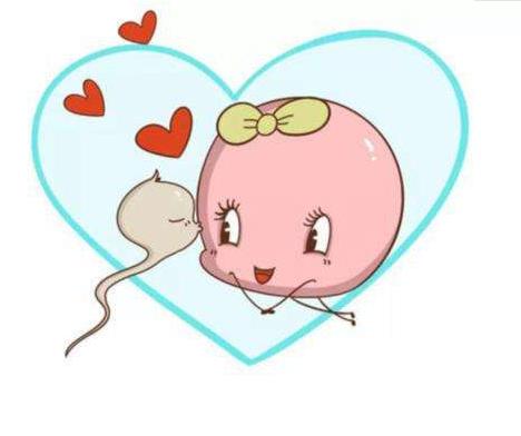 供卵山东试管 山东生殖医院三代试管多少钱？钱都花哪儿了？ ‘b超看屁股查男女准吗’