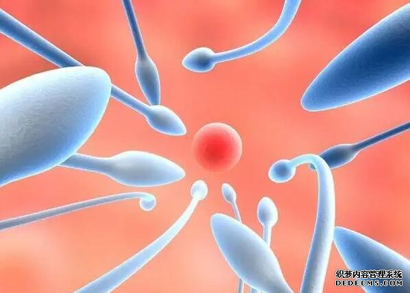 石家庄艾滋病代孕 石家庄试管医院排行榜（石家庄哪个医院做试管好） ‘代孕16周胎儿多数像女孩的彩超图是什么样的?’