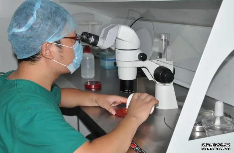 江苏代孕2019 江苏省供精试管流程： ‘nt2.0心率163男孩女孩’