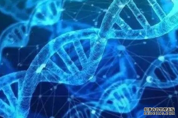 天津供卵试管联系方式 天津医大总医院试管婴儿详细过程 ‘孕十二周nt1,心跳163是女孩吧’