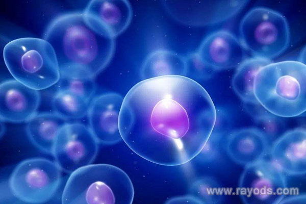 供卵试管费用,上海有没有用供卵试管的机构