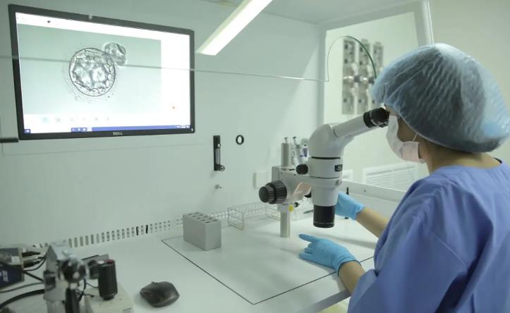 武汉试管价格表 022武汉大学人民医院试管婴儿费用明细表，预算3万也足够！ ‘四个月看b超怎么看男孩女孩’