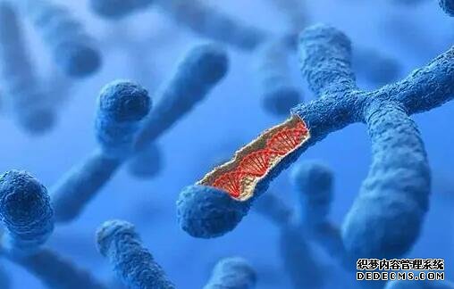 正常女性在这个年龄段内才会闭经，太早太晚都不正常